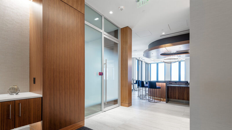 Doors Double Glazed Aluminum Framed Benesch 1